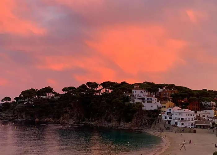 Hotel Hotel Llafranch 3*