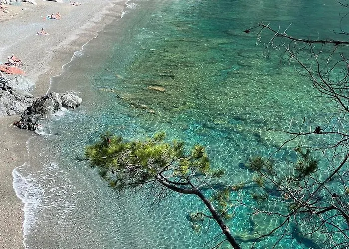 Hotel Llafranch Hotel