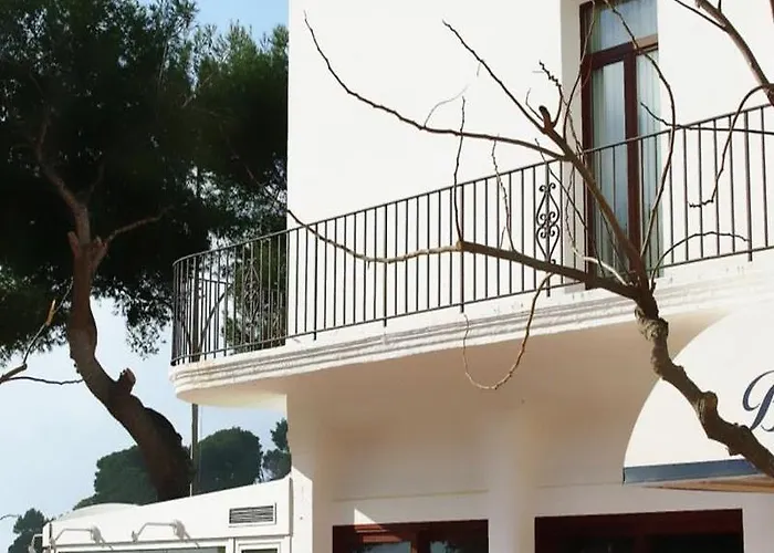 Hotel Hotel Llafranch 3*